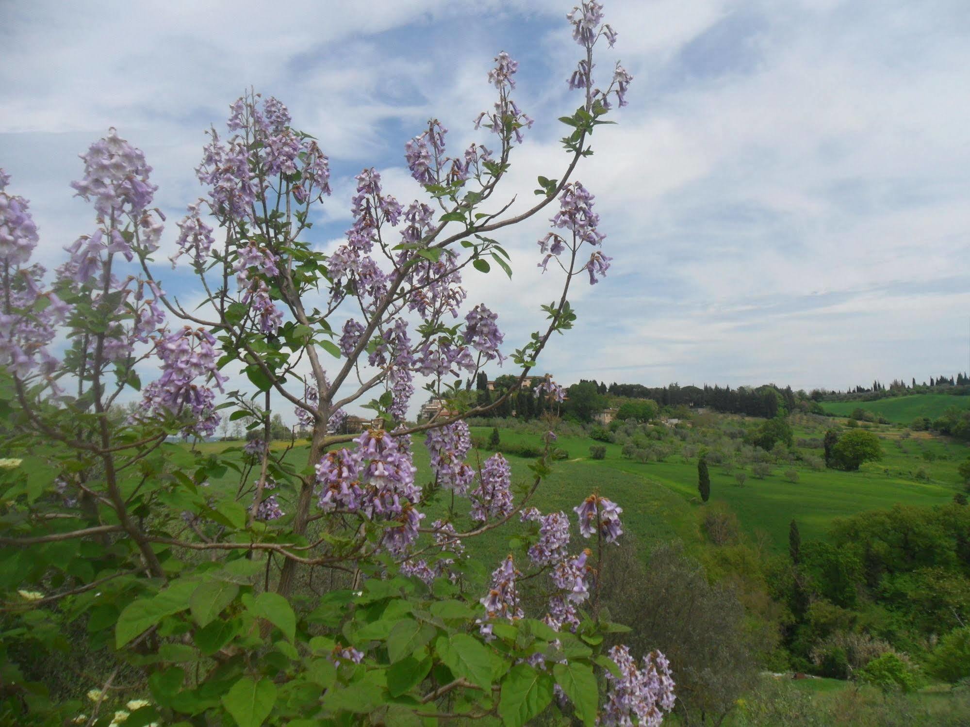 Fullino Nero Rta - Residenza Turistico Alberghiera เซียนา ภายนอก รูปภาพ
